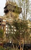 Туры в отель Maoxian County Guqiangcheng Hotel (Guqiangcheng Scenic Area Branch)