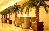 Туры в отель Faguo Hotel