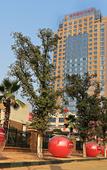 Туры в отель Furong International Hotel