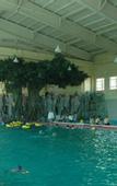 Туры в отель Hongyuan Hotspring Hotel