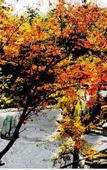 Туры в отель Hongyuan Hotspring Hotel