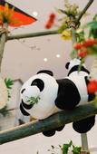 Туры в отель Tianfu Source Hotel