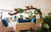 Туры в отель Tianfu Source Hotel