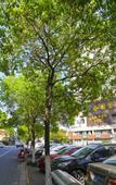 Туры в отель Yuemeijie Hotel