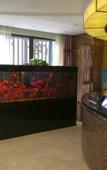 Туры в отель Yuemeijie Hotel