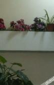 Туры в отель Jingcheng Haoting Hotel