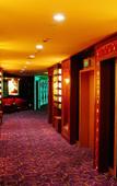 Туры в отель Yuanli International Hotel