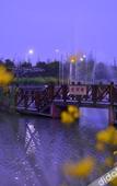 Туры в отель Oriental Hotel