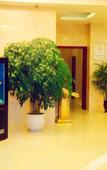 Туры в отель Grace Hotel
