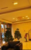 Туры в отель Grace Hotel