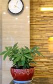 Туры в отель Home Inn (Zhuji Zhejiang A&F University Branch)