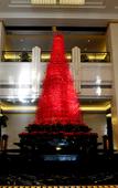 Туры в отель Zhaofeng International Hotel