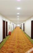 Туры в отель GreenTree (Yangzhong Central Mall Gangdong North Road)