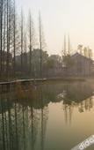 Туры в отель Wuzhen Guest House