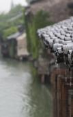 Туры в отель Wuzhen Guest House
