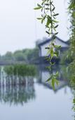 Туры в отель Wuzhen Guest House