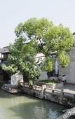 Туры в отель Wuzhen Guest House