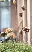 Туры в отель Floral Hotel · Yipin Vision Art Hotel