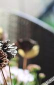 Туры в отель Floral Hotel · Yipin Vision Art Hotel