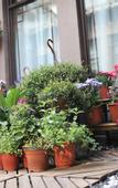 Туры в отель Floral Hotel · Yipin Vision Art Hotel