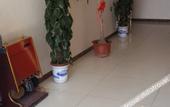 Туры в отель Qianzitong Hotel