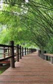 Туры в отель Chongdugou Waterscape Hotel