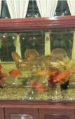 Туры в отель Wencheng International Hotel