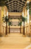 Туры в отель Island Hotel