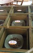 Туры в отель Shanghe Hotspring Hotel