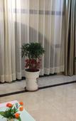 Туры в отель Licheng Art Hotel