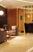 Туры в отель Lotus Hotel