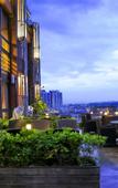 Туры в отель Lotus Hotel