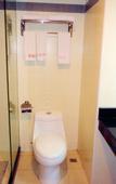 Туры в отель VIP Hotel