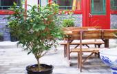 Туры в отель Huajian Courtyard Hotel