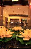 Туры в отель Hongyuan International Hotel