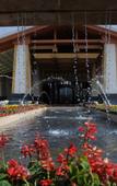 Туры в отель Hongyuan International Hotel