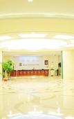 Туры в отель Sports International Hotel