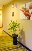 Туры в отель GreenTree Inn Express Hotel (Jiangyin Wanda Plaza Chengjiang Road)