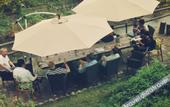 Туры в отель Moganshan Mountain Cat Inn