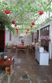 Туры в отель Dunhuang Hu Yang Inn