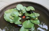 Туры в отель ZhanTan Courtyard Hotel