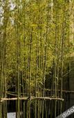 Туры в отель Xinchang Wozhou Junyi Hotel