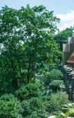 Туры в отель Thinking Land Lingyan Forest Hotel