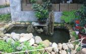 Туры в отель Wuyishan Zhanluyuan hotel (Impression Dahongpao Theater)