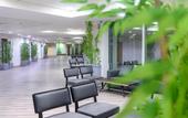 Туры в отель Leonardo Club Hotel Dead Sea