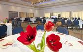 Туры в отель Leonardo Club Hotel Eilat