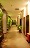 Туры в отель Xinhaiwan Holiday Hotel