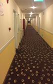 Туры в отель Homeinn Collection Hotel (Beijing Huilongguan Huoying Subway Station)