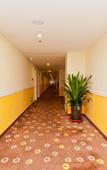 Туры в отель Homeinn Pebble Hotel (Xianghe International Furniture City Yingbin Road)