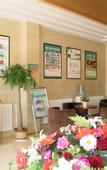 Туры в отель GreenTree Hotel (Rongcheng High-speed Railway Bus Station)